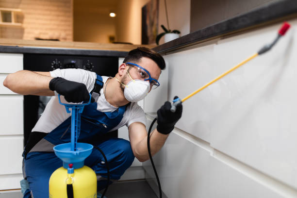 Best Wasp Removal Services  in Kahaluu Keauhou, HI