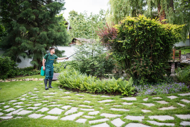 Best Mosquito Control Services  in Kahaluu Keauhou, HI