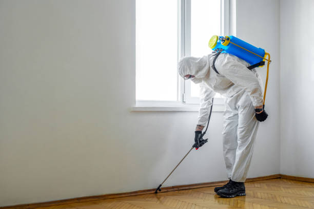  Kahaluu Keauhou, HI Pest Control Pros