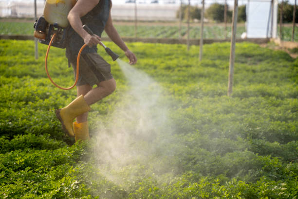 Best Affordable Pest Control Services  in Kahaluu Keauhou, HI