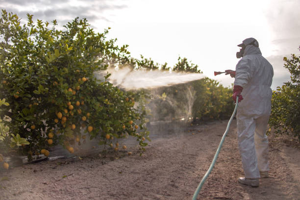 Professional Pest Control in Kahaluu Keauhou, HI