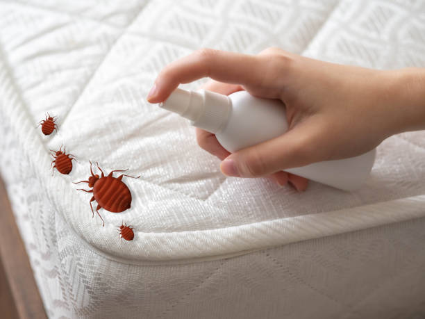 Best Cockroach Control Services  in Kahaluu Keauhou, HI
