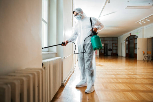 Best Best Pest Control Companies  in Kahaluu Keauhou, HI