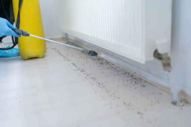 Best Best Pest Control Companies  in Kahaluu Keauhou, HI
