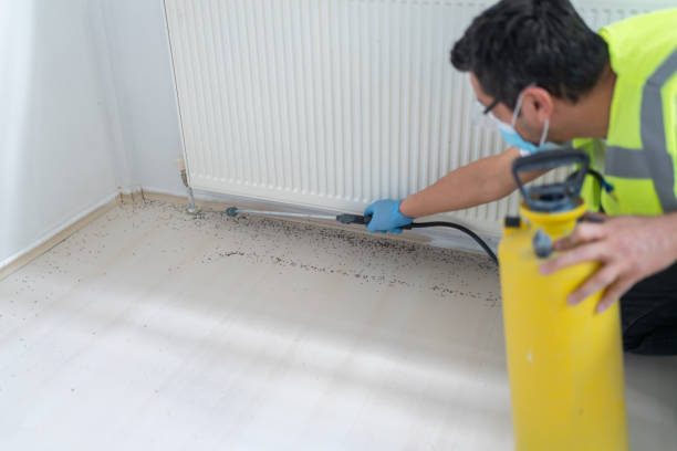 Best Commercial Pest Control Services  in Kahaluu Keauhou, HI